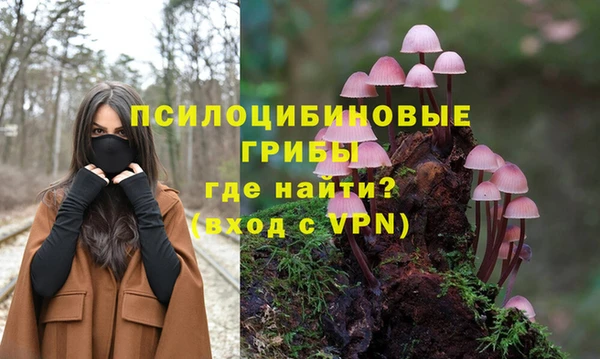 ГАЛЛЮЦИНОГЕННЫЕ ГРИБЫ Алзамай