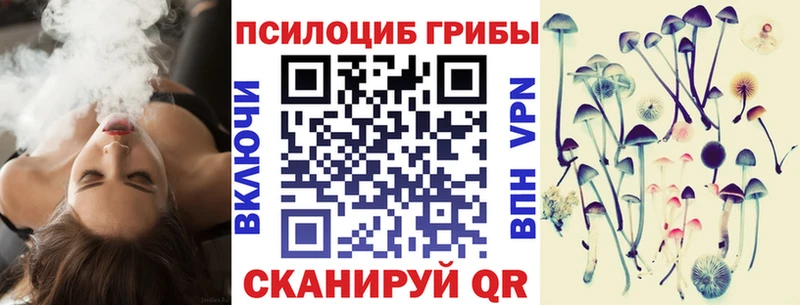 купить наркотики цена  Октябрьский  omg онион  Галлюциногенные грибы MAGIC MUSHROOMS 